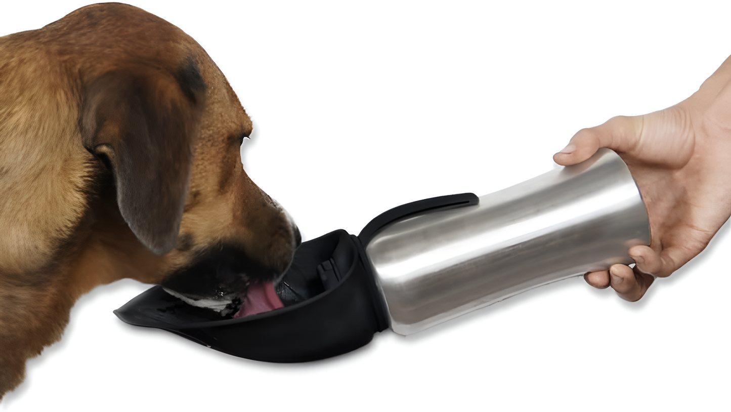 Portable Dog Water Dispenser | Stainless Steel Travel Bottle | Silicone Leaf Shaped Bowl | 27Oz Black